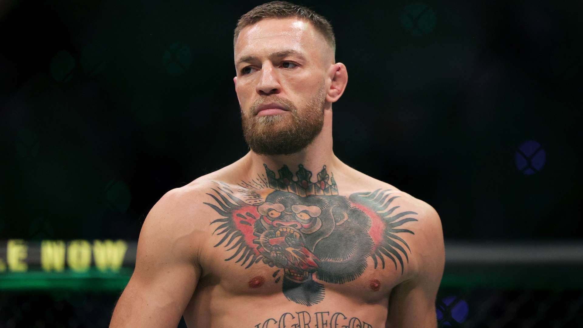 展現了東道 展現了東道