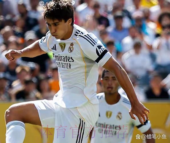 阿斯：尽管决赛输球，但凭借场上表现皇马不会解雇阿隆索